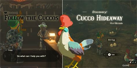 follow the cuccos totk